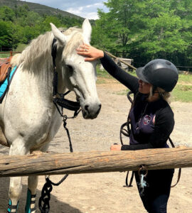 Formations Moniteur d'équitation CSO