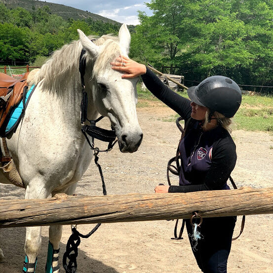 Formations Moniteur d'équitation CSO