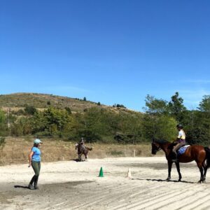 Nos formations BPEJEPS au centre équestre CEFTER-PACA