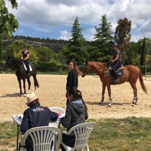 Nos formations Stage Enseignant au centre équestre CEFTER-PACA
