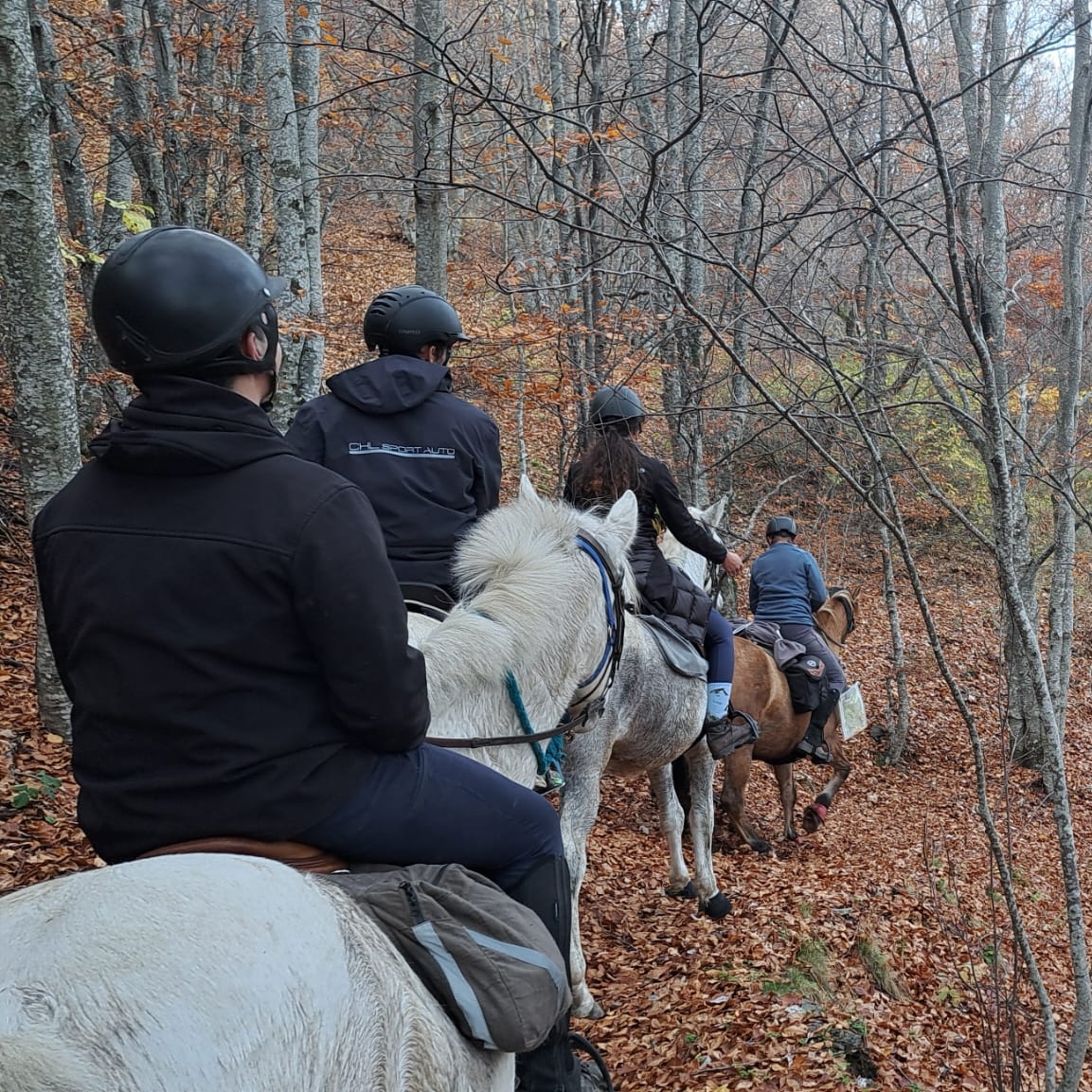 a381a052-ea7d-4724-8dc1-1f512ea53ade