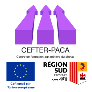 CEFTER-PACA