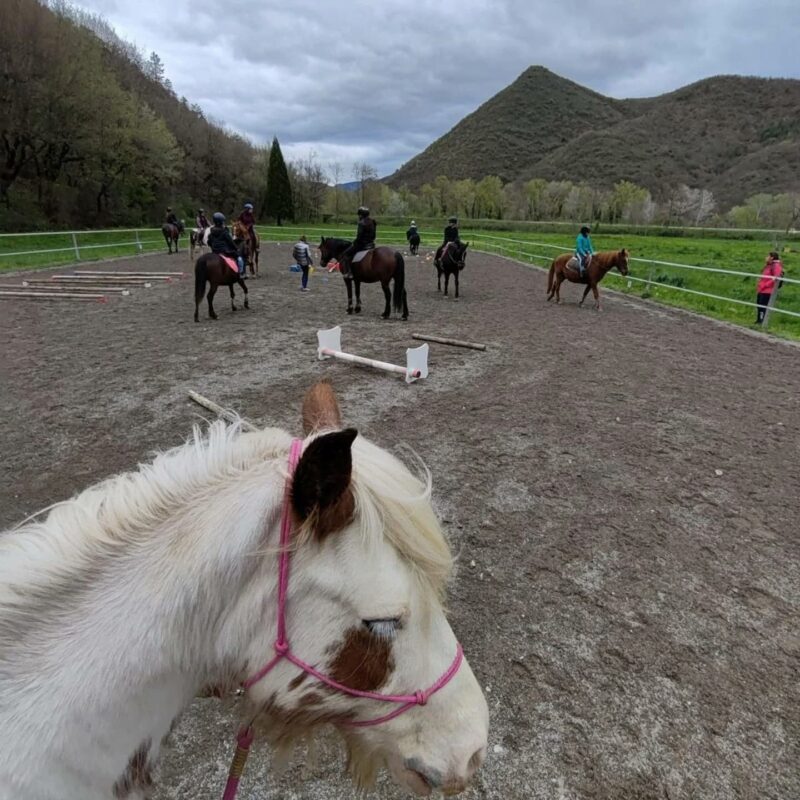 491443184_18072417703894669_5393834790663119612_n