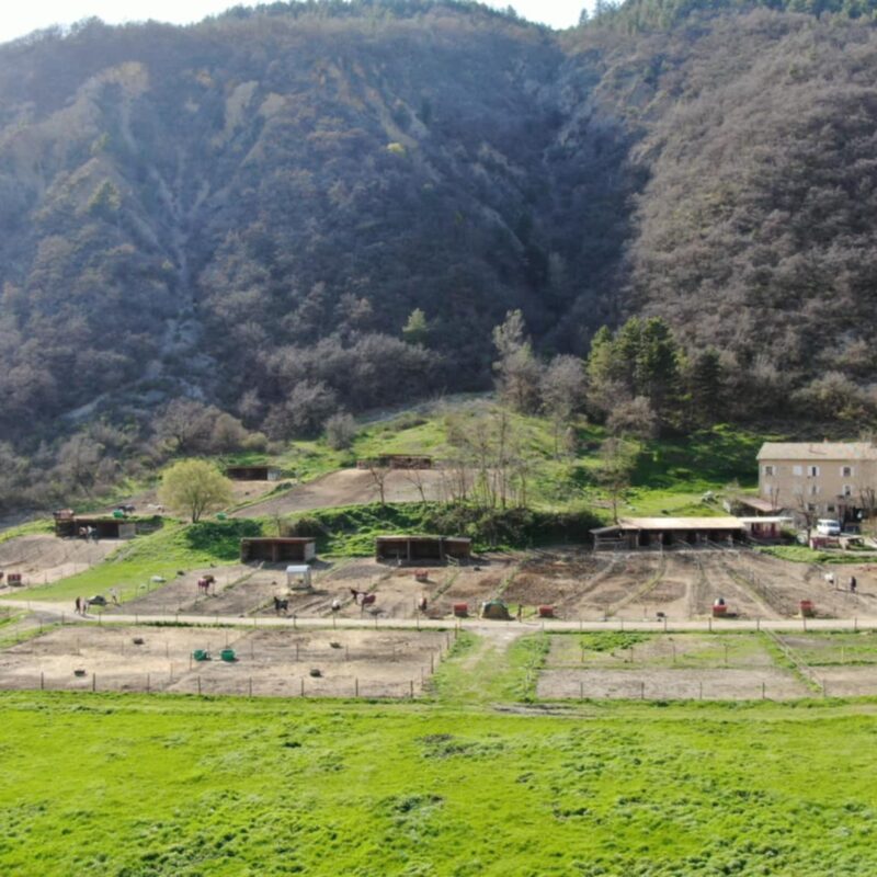 centre-equestre-digne-infrastructures-18