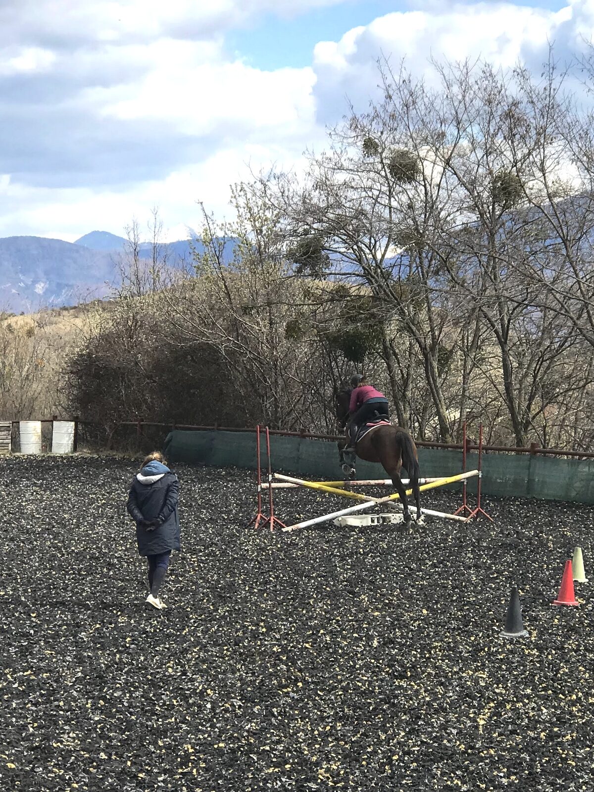 BPJEPS Saut